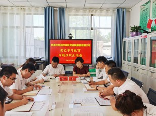 腾博会官网 召开党史学习教育专题组织生活会